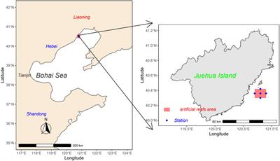 Seasonal Variation of Food Web Structure and Stability of a Typical Artificial Reef Ecosystem in Bohai Sea, China